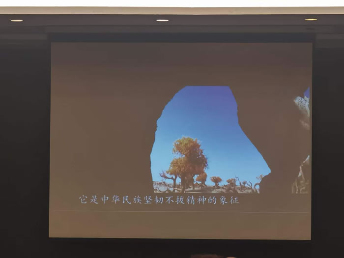 綿陽(yáng)中旅行假日旅行社舉行胡楊林、南疆專(zhuān)列推薦會(huì )